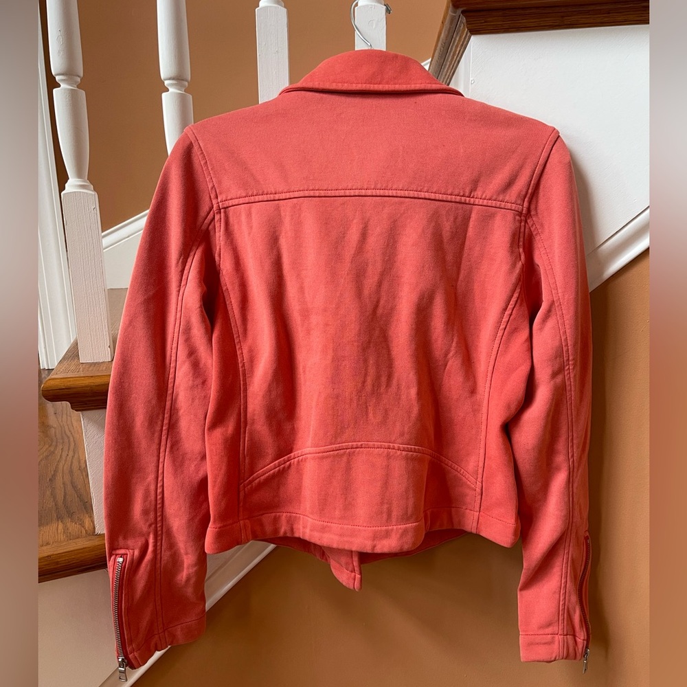 Anthropologie NWT Sz S, top rated super cool The Saige Knit Moto Bomber Jacket - Picture 4 of 16